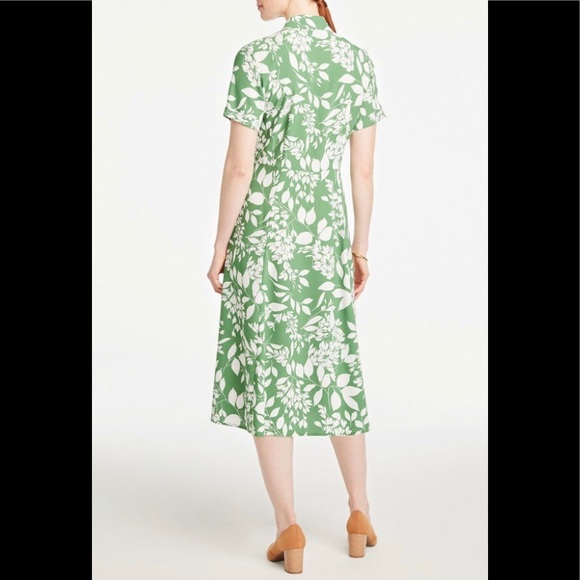 Ann Taylor 12 Petite Green Short Sleeve Dress - Picture 2 of 2